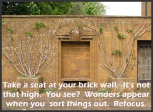 Brick_Wall_Refocus copy